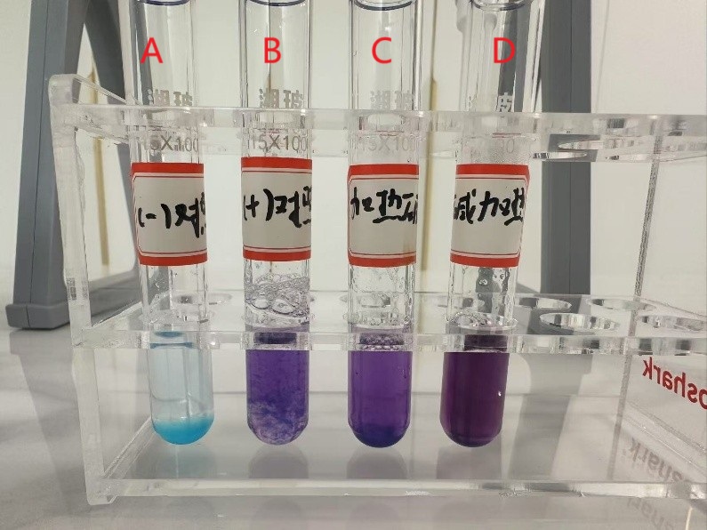 不同条件下鸡蛋清加入双缩脲试剂后产生的颜色变化 双缩脲反应结果